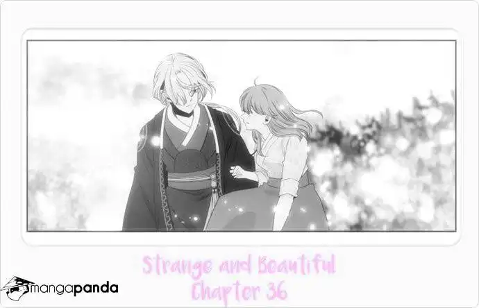 Strange and Beautiful Chapter 36 2